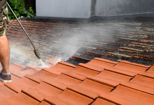 Pressure Washing Services for Businesses in North Miami Beach, FL